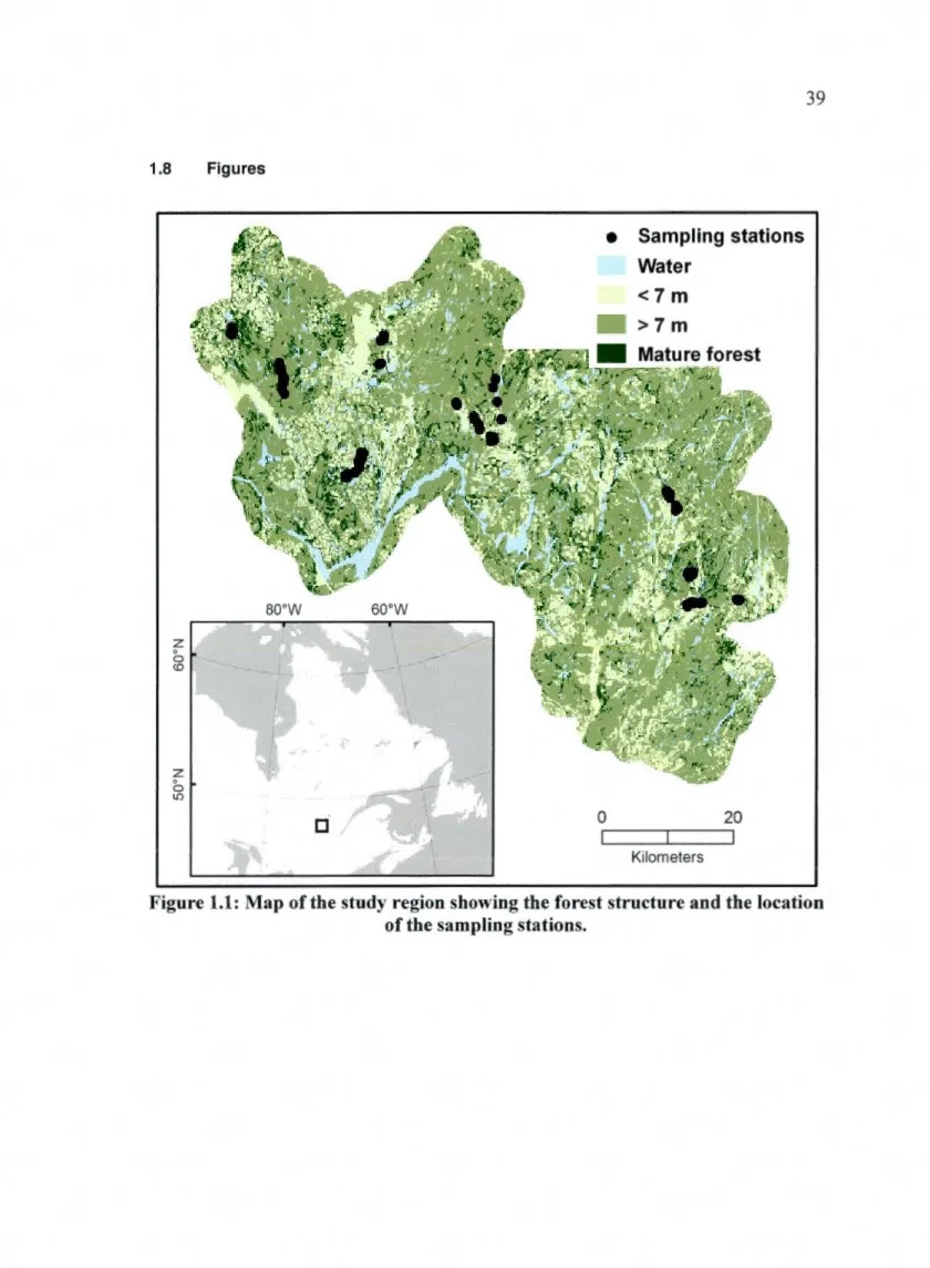 Figure 1.1:  Map of the study region showing the forest structure and the location  of the sampling stations