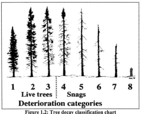 Figure 1.2:  Tree decay classification chart  from  Imbeau and Desrochers (2002). 