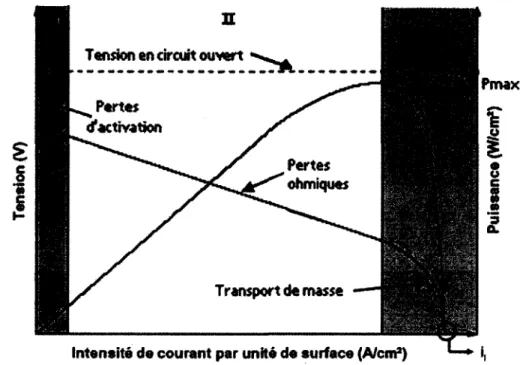 Figure 7 - Courbe VI typique d'une PEMFC [Modroukas, 2006] 