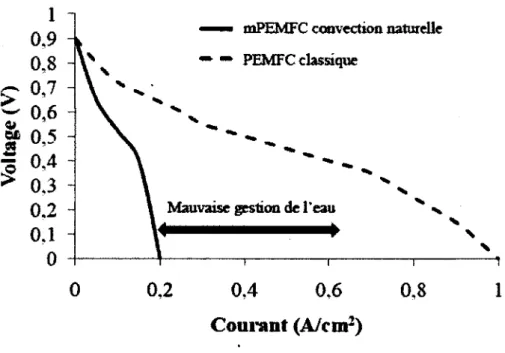 Figure 9 - Comparaison des courbes VI d'une mPEMFC en convection naturelle et  d'une PEMFC  classique