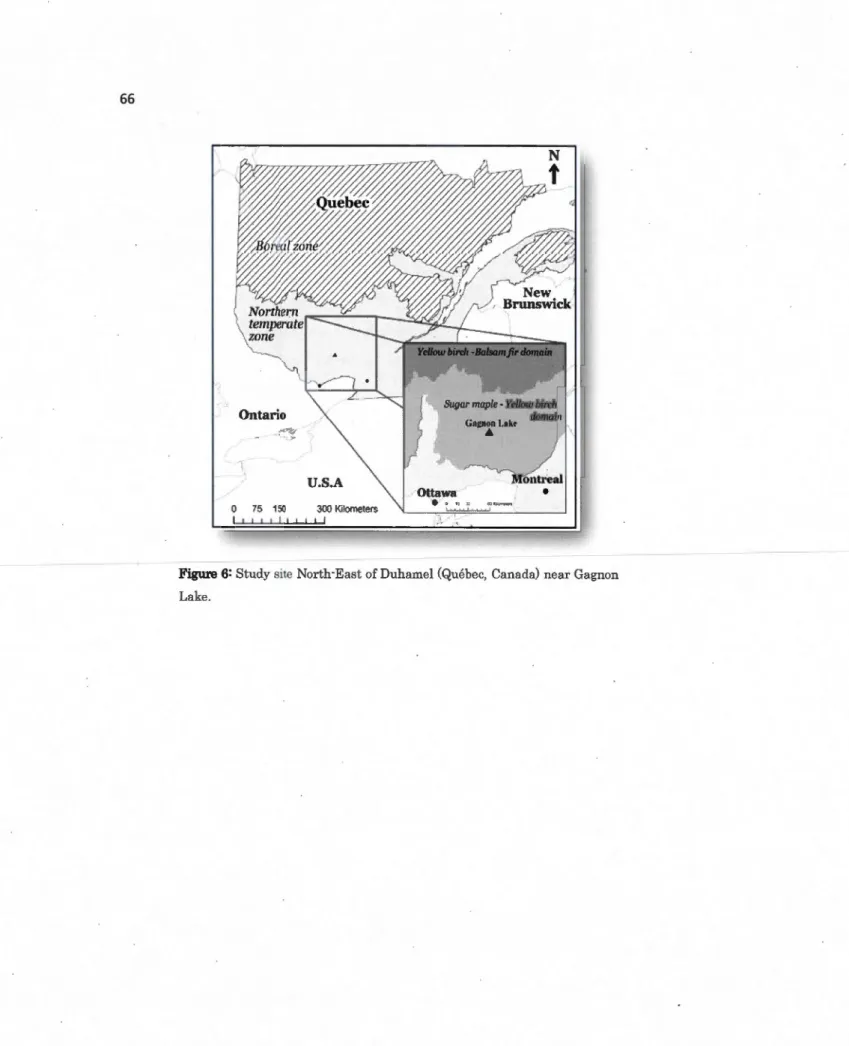 Figure 6: Study site  North-E ast  of Duhamel (Québec, Canada)  near  Gagnon  Lake. 