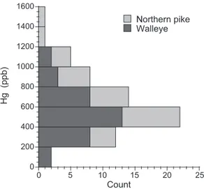 Fig.  4.  hg  concentrations  in  675  mm  standardized  length pikes and 375 mm standardized length walleyes.