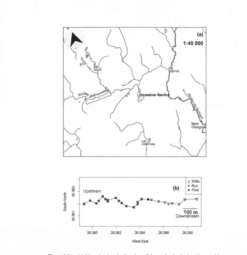 Figure 1.1  (a)  Map  showing  the  location  of the  study  site  in  the  Abercrombie  stream and  (b) the distribution of  habitat sections across the selected stream  reach