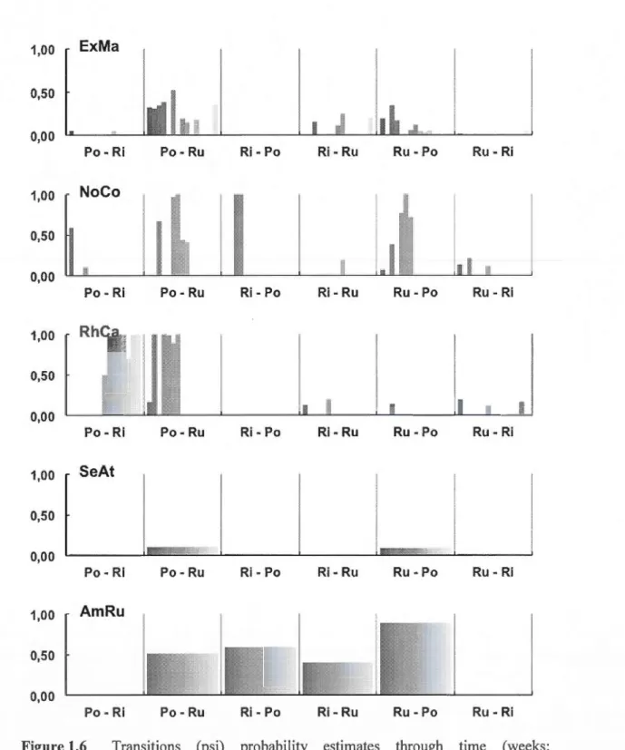 Figure 1.6  Transitions  (psi)  probabi lity  estimates  through  time  (weeks; 