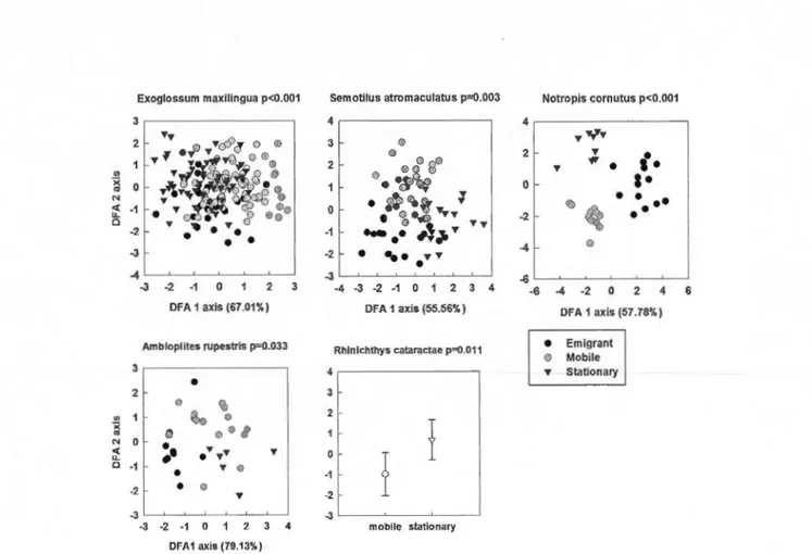 Figure  1.7  First  two  discriminant  axes  of  body  shape  across  move ment  behav i ours  (mobil e,  stati onary  and  emi grant)  fo r  each s pecies 