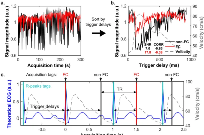 FIG. 2. Sorting of the dynamic frames by trigger delay. (a) Unsorted signal magnitude-time curve 2 