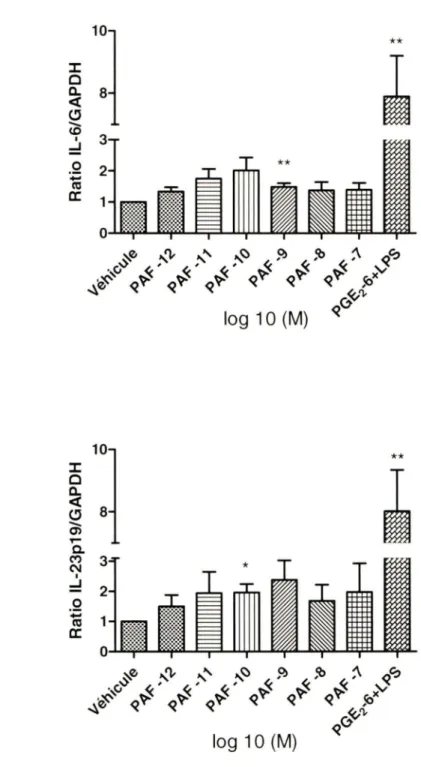 Figure 19.  Effet du  PAF sur la production  d'IL-6 (A) et d'IL-23p19 (B)  en  ARNm par  les  LCs  en  PCR  en  temps  réel