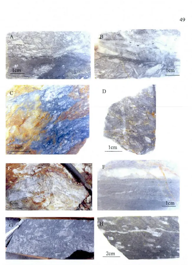 Figure  1.6.  Photographs  of rock  samples  illustrating  the  structurally-controlled  facies