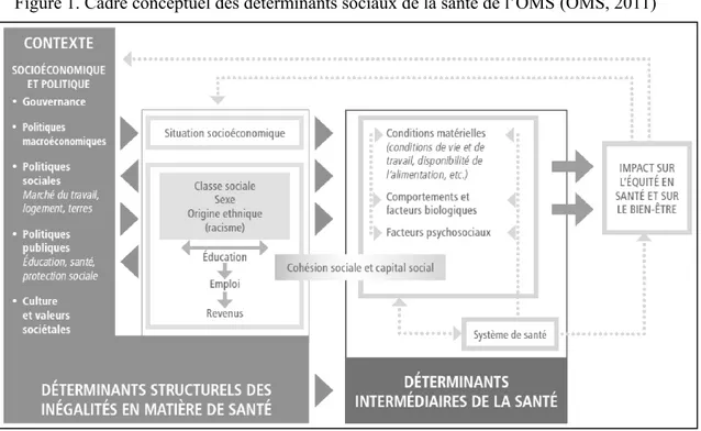 Figure 1. Cadre conceptuel des déterminants sociaux de la santé de l’OMS (OMS, 2011) 