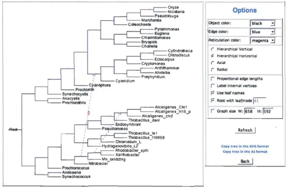 Figure 2.5  Un  résultat du  programme HGT-Detection  inclus dans la  version  Web de T­