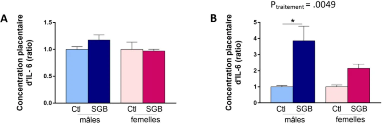 Figure  4. Expression d’IL-6 placentaire suite à l’exposition au SGB en fin de  gestation