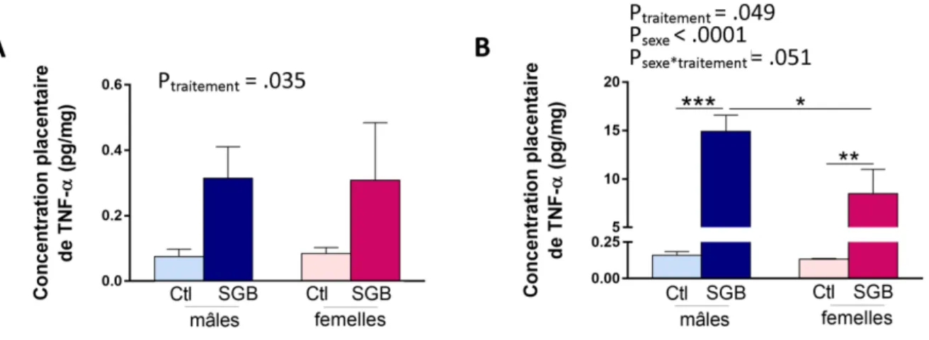 Figure 5. Expression placentaire de TNF-α suite à l’exposition au SGB.  