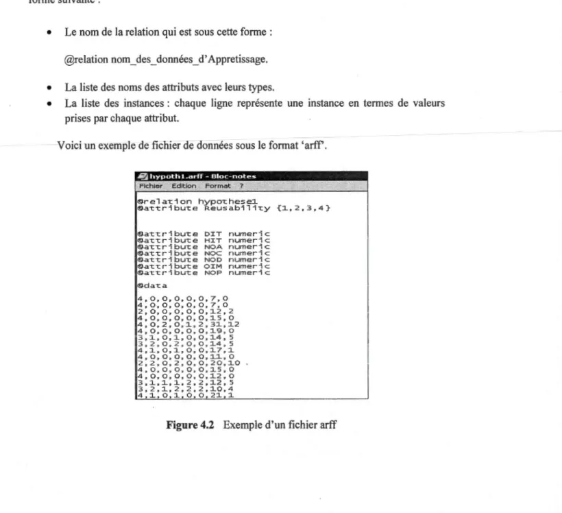 Figure  4.2  Exemple d'un fichier arff 
