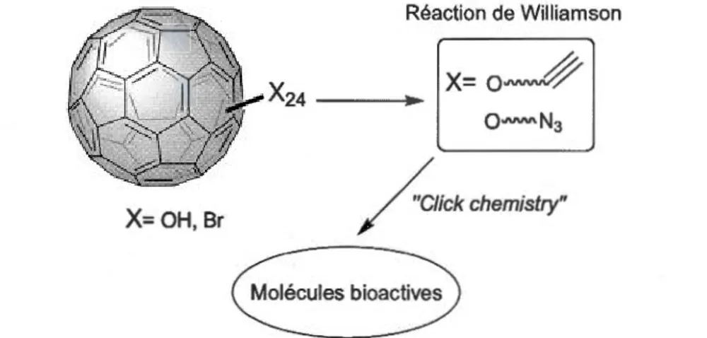 Figure 1.8:  Approche synthétique pour le nouveau design de molécules bioactives  dérivées de  la famille des fullerénols