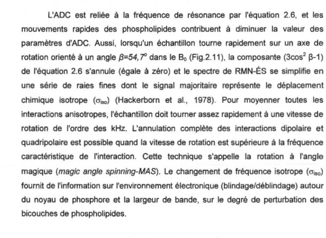 Figure  2.11:  Spectre  de  RMN  31  P  d'un  phospholipide  avec  la  technique  de  la  rotation  à  l'angle magique 