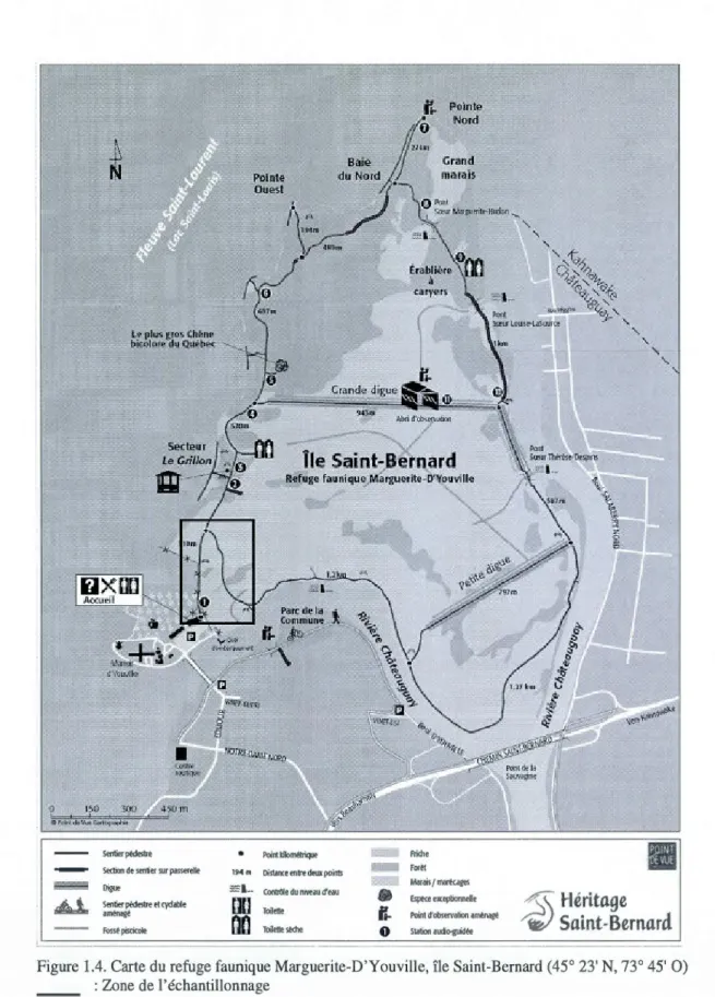 Figure 1.4. Carte du refuge faunique Marguerite-D 'Y  ouville, île Saint-Bernard (45 ° 23' N, 73° 45' 0)  : Zone de  l' échantillonnage 
