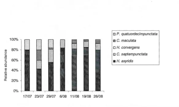 Fig. 2.4  Percentage relative abundance  of the five spec ies  of cocci nell ids reco rded each wee k on A