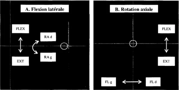 Figure 8 : Retroactions visuelles en flexion laterale et rotation axiale 