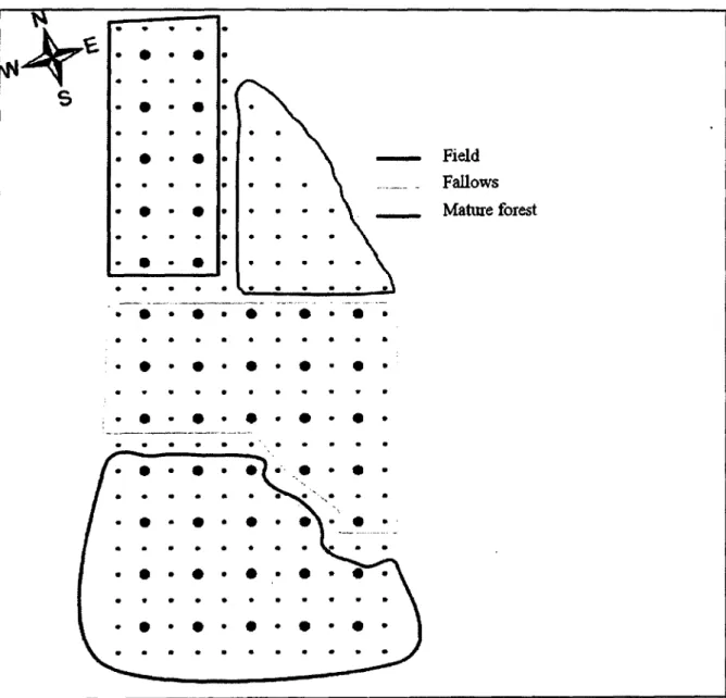 Fig.  1. Hummingbird  study area consisting of a 44-ha grid composed  of 45 artificial  feeders,  each  equipped  with  a  PIT-tag  reader,  and  located  in  Cleveland  County,  Quebec,  Canada