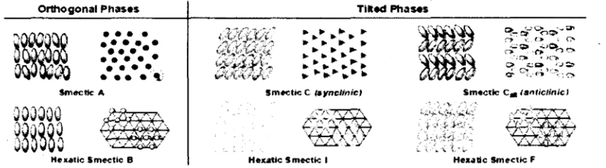 Figure 9 : Phases smectiques des mésogènes calamitiques selon le degré d'ordre(18) 