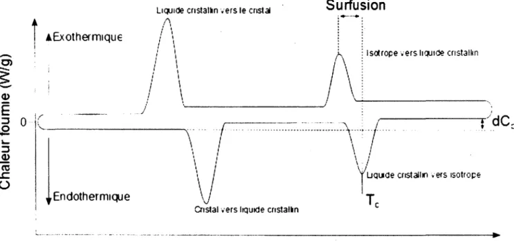 Figure 15 : Schématisation d'un thermogramme obtenu par DSC. T c  : température de transition de  phase, dC p  : différence de capacité calorifique