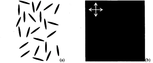 Figure 18 : (a) Représentation de la phase liquide isotrope dans un  axe d'observation arbitraire; (b)  Phase isotrope vue en MOLP, les doubles flèches croisées représente l'orientation des polariseurs 
