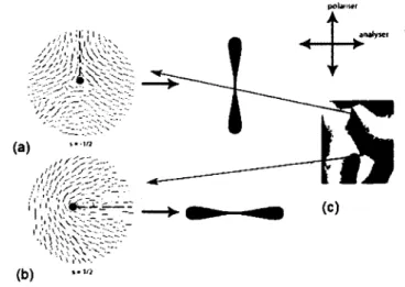 Figure 22 : Champs vectoriels représentant l'orientation des vecteur directeurs en deux dimensions  pour (a) un défaut de type + ] A, (b) (25) un défaut de type -A (c) défauts  -V2  et  +V2  provenant d'un 