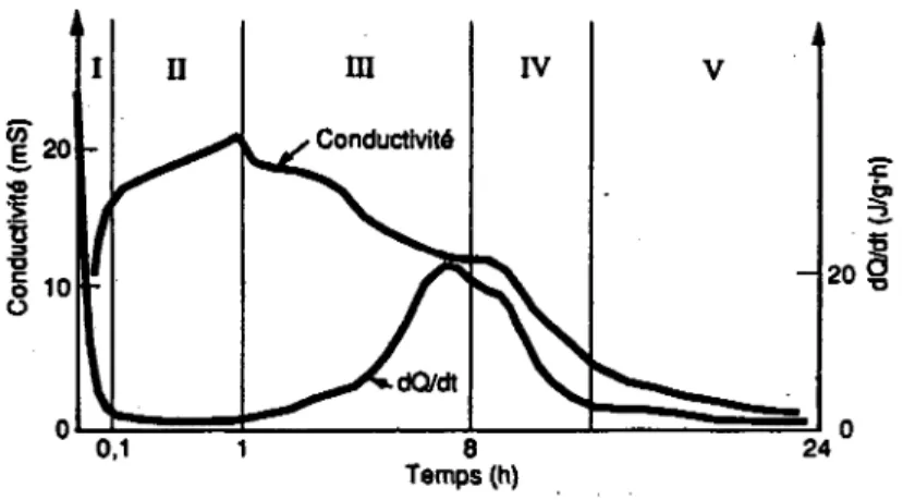Figure  1 . 1 - Flux thermique et la conductivite electrique lors de l'hydratation  [adapte de Vernet et Cadoret, 1992] 