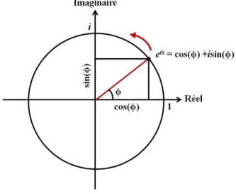 Figure 6. Représentation de la formule d'Euler au sein du plan complexe.