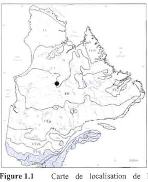 Figure 1.1  Calte  de  localisation  de  la  nain  (Betula  glandulosa,  (Michx))  et  du  tourbière  Abeille  selon  Payette  et  Rochefort,  mélèze  laricin  (Larix  laricina  (Du  Roi)  2001