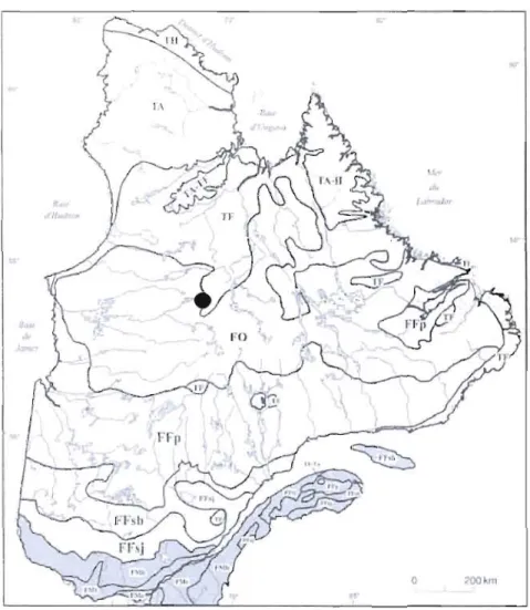 Figure 4.1  : Study area  and  localisation of the  peatland  following  Payette  and  Rochefort  (200 1)  classification