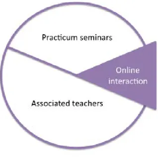 Figure 1.   Online interaction as support for the reflective practice of preservice teachers:  