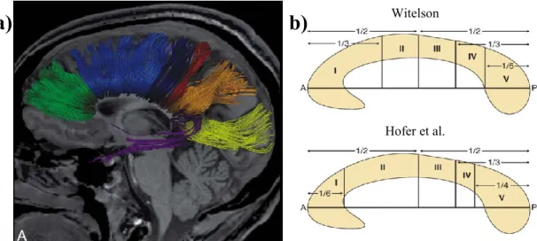 Figure 10. Représentation des sous-divisions de Hofer et al. 