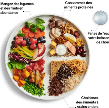 Figure 1.2  Illustration des nouvelles recommandations du Guide alimentaire canadien  (tiré de :  SC,  2019b)  