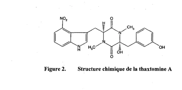 Figure 2. Structure chimique de la thaxtomine A 