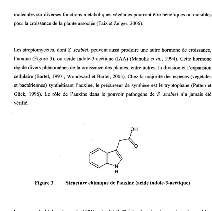 Figure 3. Structure chimique de l'auxine (acide indole-3-acetique) 