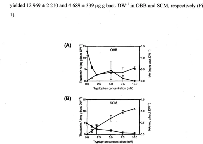 FIG. 1. Thaxtomin A  ( • ) and IAA (A) production by S. scabiei EF-35, per bacterial dry  weight, as a function of different tryptophan concentrations, after 6 days of growth in (A)  OBB and (B) SCM