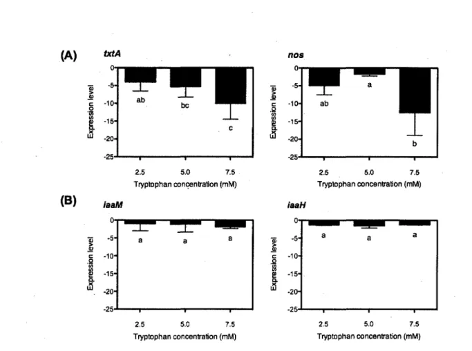 FIG. 2. Relative expression level of genes involved in (A) thaxtomin A and (B) IAA  biosynthesis in S