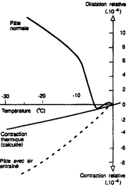 Figure  2.7  -   Comportements  dimensionnels  des  pâtes  de  ciment  au  cours  de  gel  [Powers et Helmuth,  1953 via Carles-Gibergues et Pigeon,  1992]