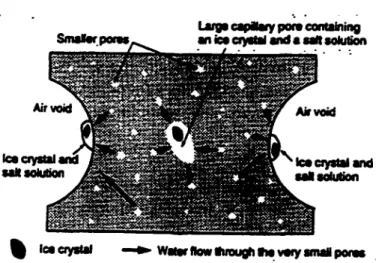 Figure  2.9  -  Illustration  schématique  du  processus  de  la  formation  des  pressions  osmotiques dans la pâte de ciment [Pigeon et Pleau,  1995]