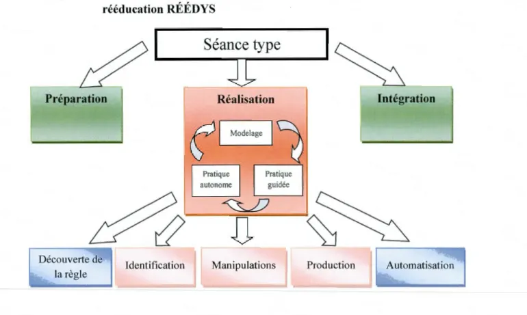 Figure 4.2  Schéma d'une séance type de  rééducation selon  le  programme de  rééducation RÉÉDYS  Préparation  ______  s_é_an_cre~cy  __  p_e  _____  l~ r------ Réalisation :[1: ~~------~  ~------~  Pratiqu e  autonome  Intégration  Découverte de 