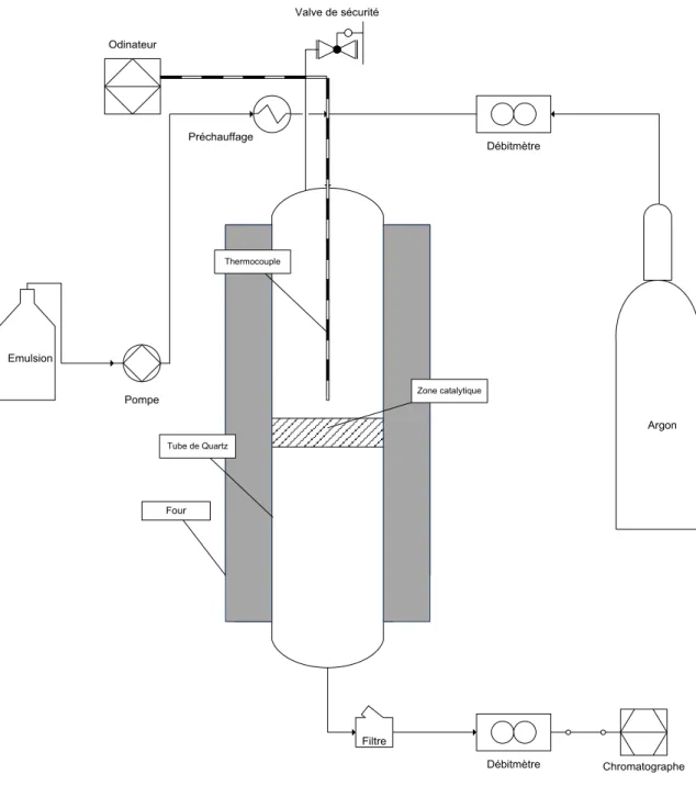 Figure 3-3 Schéma descriptif du montage réactionnel 