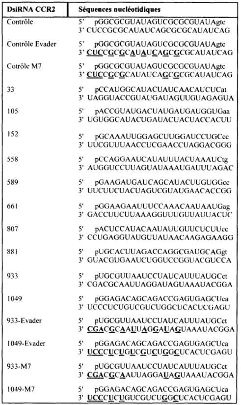 Tableau 3  :  Séquences nucléotidiques des brins sens et anti-sens des DsiRNA CCR2 Les  com p o sés  o n t  été  conçus  p o u r  reco n n aître  sp écifiq u em en t  l’A R N m   du  ré c e p te u r  CC R2  chez  le  rattus  norvégiens