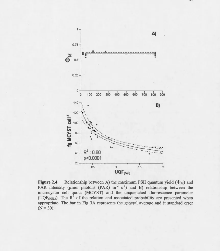 Figure 2.4  Relationship  between A)  the  maximum  PSU  quantum  yield  (&lt;l&gt;M)  and  PAR  intensity  (11mol  photons  (PAR)  m- 2  s- 1 )  and  B)  relationship  between  the  microcystin  cell  quota  (MCYST)  and  the  unquenched  fluorescence  pa