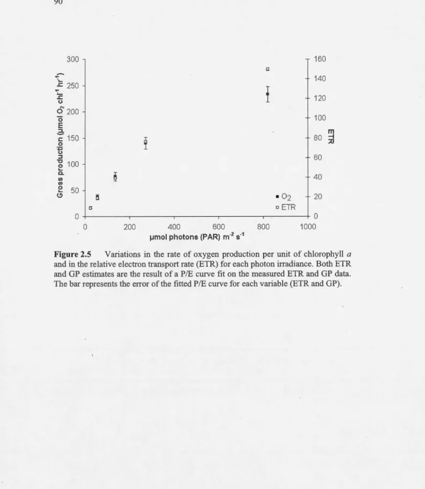 Figure 2.5  Variations  in  the  rate  of oxygen  production  per unit  of chlorophyll  a  and  in  the  relative electron transport rate (ETR) for each photon irradiance