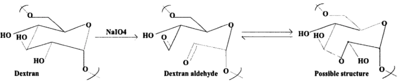 Figure 2.2 Synthesis of dextran to dextran aldehyde by oxidation with sodium periodate (adapted  from [131]).