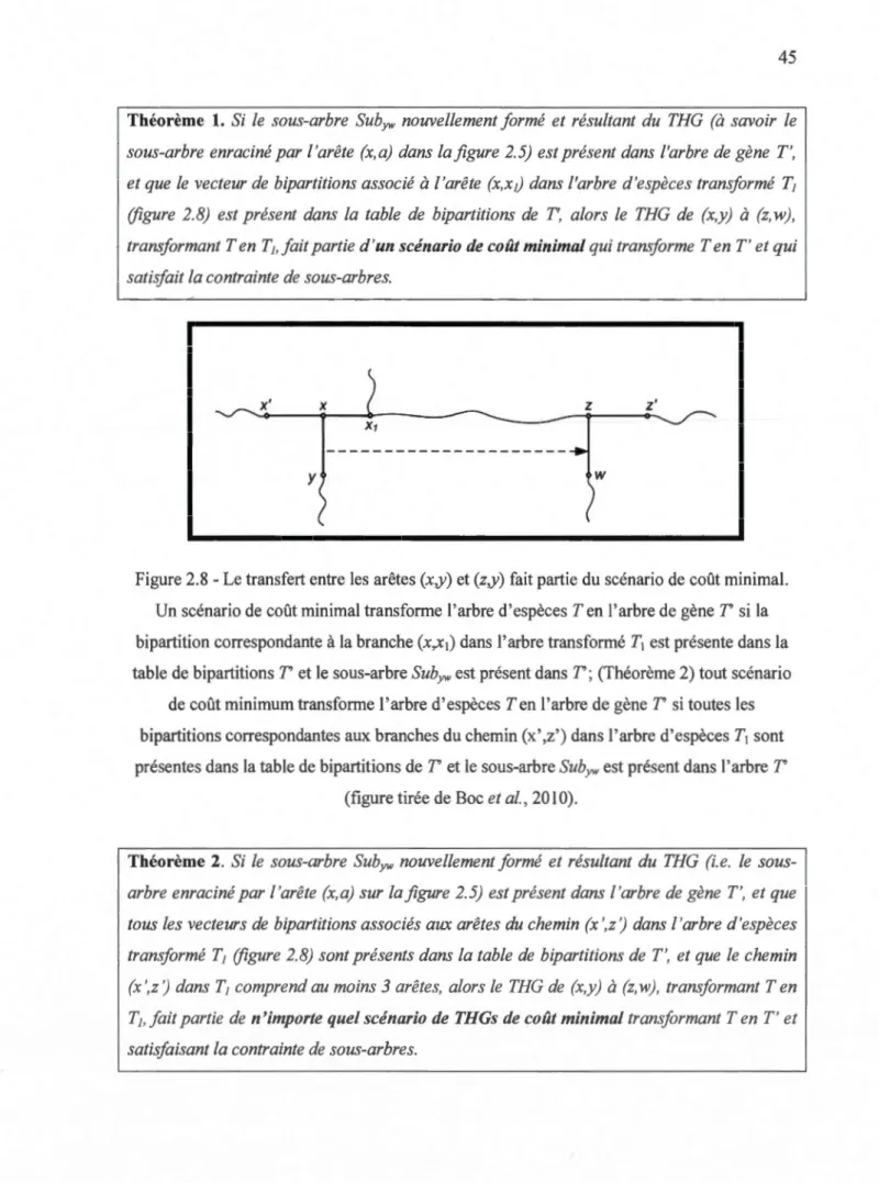 Figure 2.8 - Le transfert entre les  arêtes (x ,y) et (z ,y) fait  partie du scénario de coût minimal