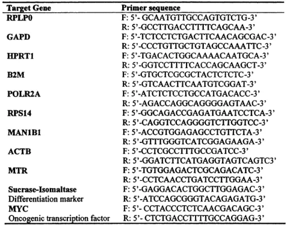 Table 3. List of primers used for identification and validation of normalizing genes for studies  related to differentiation of enterocytes and adenocarcinoma formation