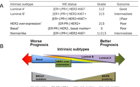Figure 2. Breast cancer classification by intrinsic molecular subtype. 
