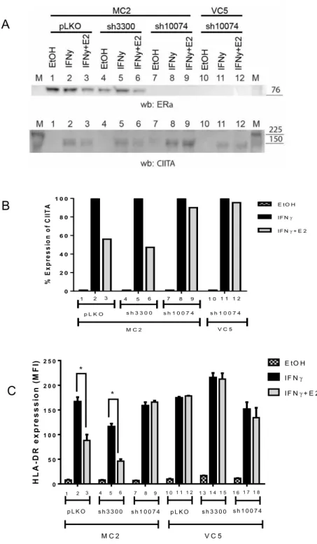 Figure 11. CIITA expression in ER depleted cells. The model cell lines  MC2  and  VC5  were  depleted  for  ER  via  shRNAs  (pLKO,  sh3300  and  sh10074)